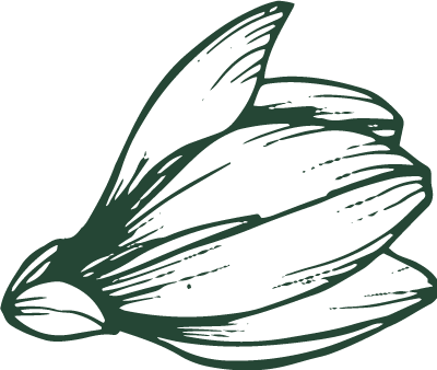 magnolia manor logomark flower green transparent